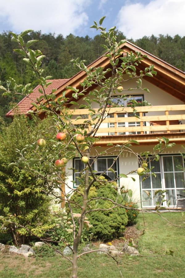 Ferienwohnung Purbach Muggendorf  Exterior foto